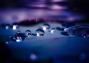 close up photography of droplets HD wallpaper